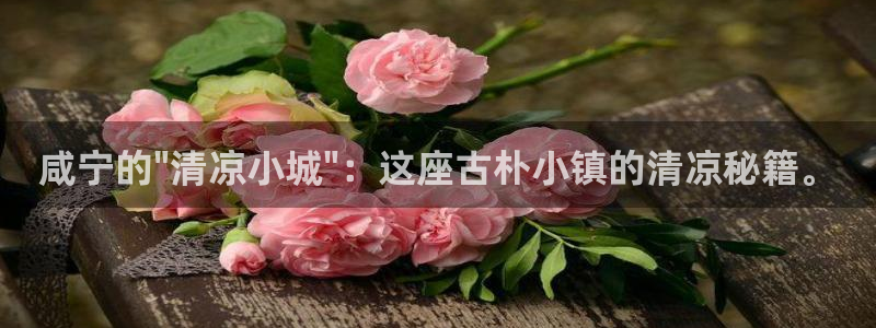 金年会入口网站