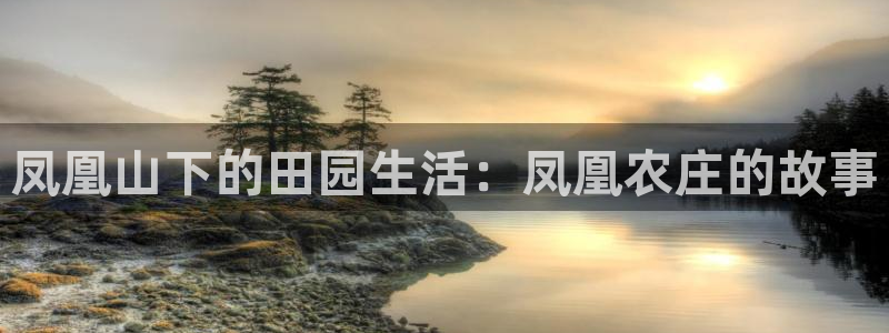 金年会平台登陆