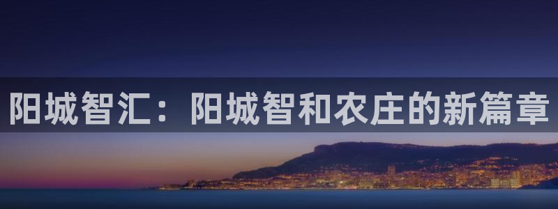 金辉城年会视频