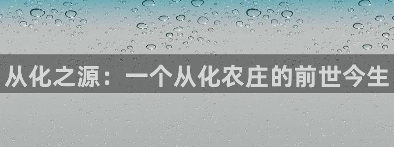 金年会体育在线入口