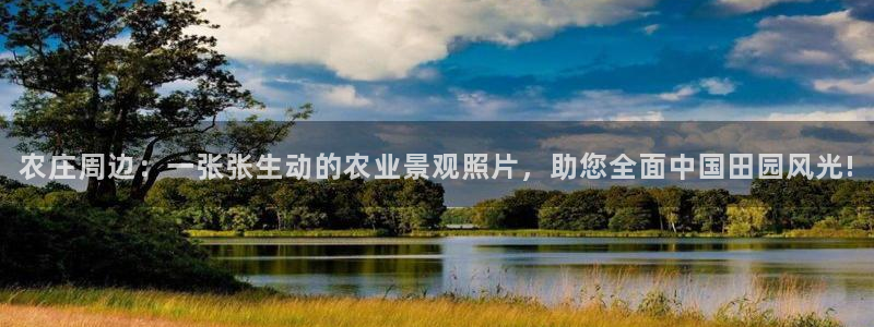 金年会体育和金年会