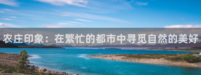 jinnianhui 金年会