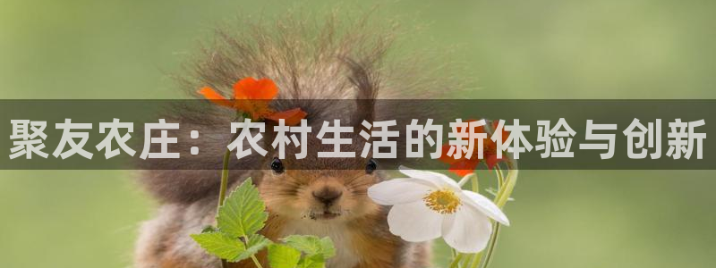 金年会注册官网