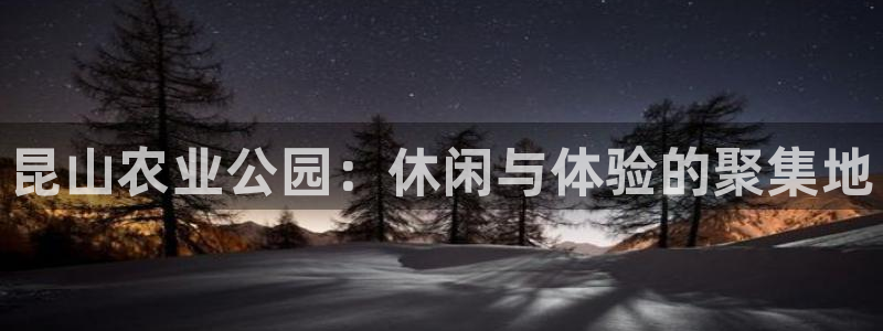 金年会官方网址登录路线