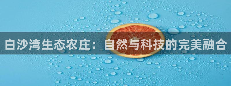 金年会官方入口