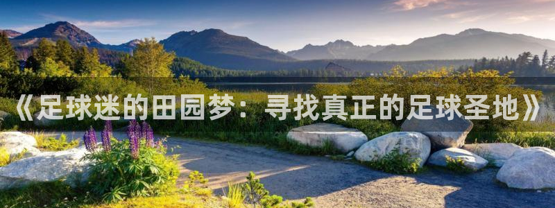 金年会在线入口