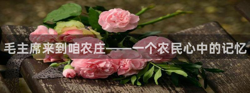 金年会是正规的吗