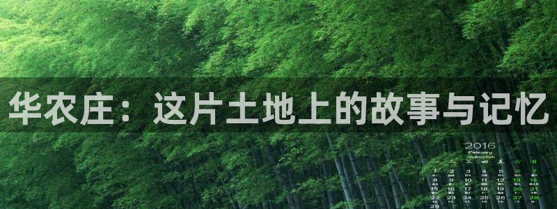 金年会中国金年会登录