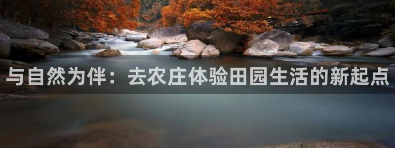 金年会官网入口