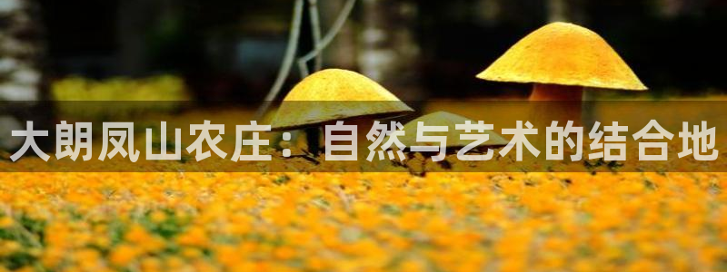 金年会官方网站