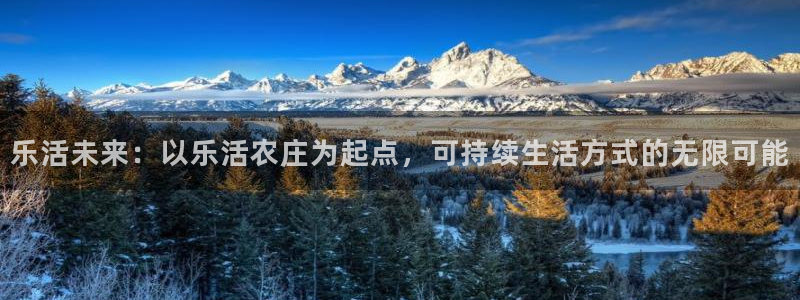 金年会是正规平台吗