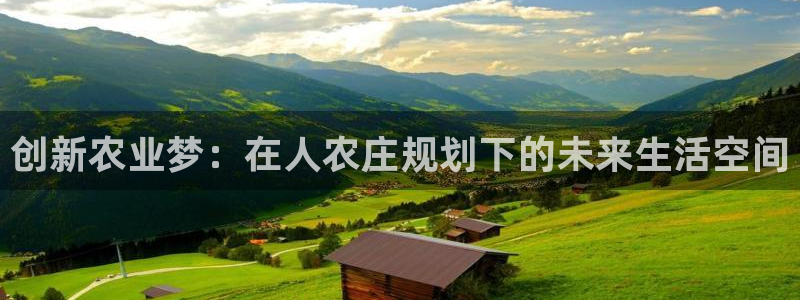 金年会体育官方网站入口