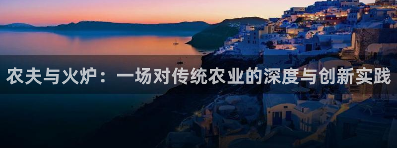 金科年会图片