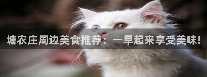 金年会软件之家下载