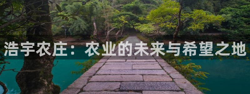 金顶年会