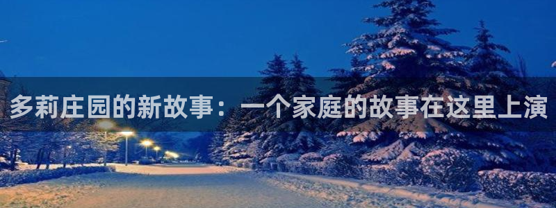 年会金句心得