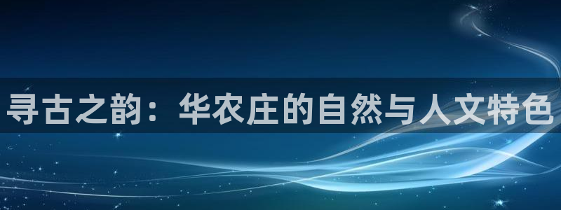 金年会官