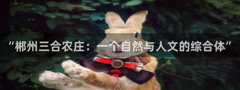 金汉江年会