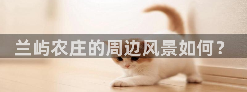 金年会赌博