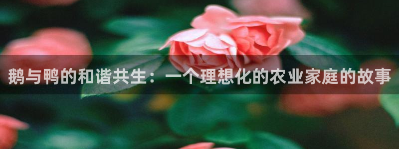 金年会官网app