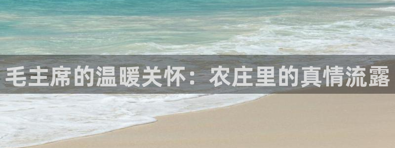 金年会 平台