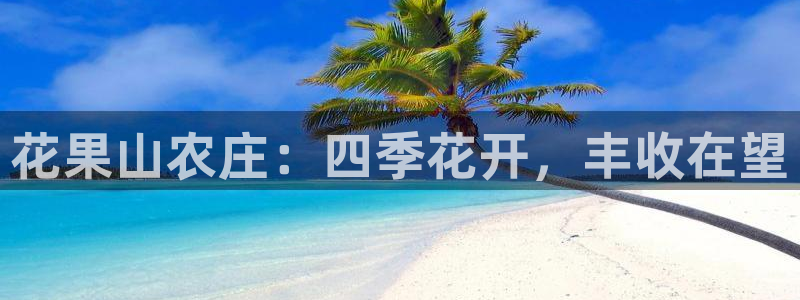 金诺利年会