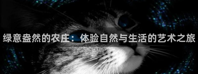 金年会嗨聊app下载