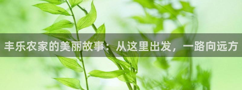 金汉江年会