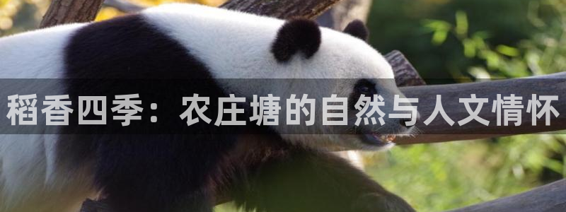 金年会6766澳门联合