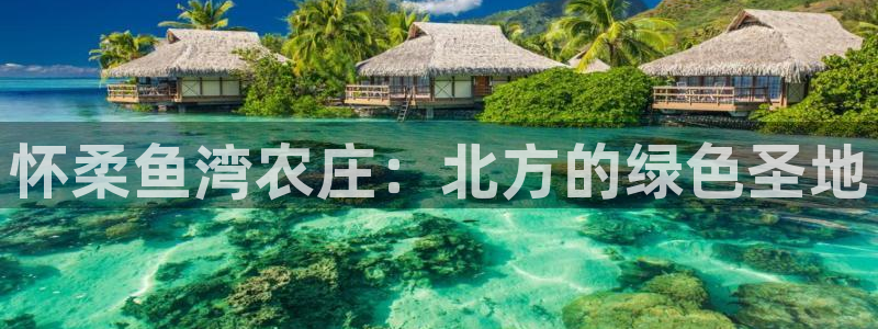 金年会网登录平台入口