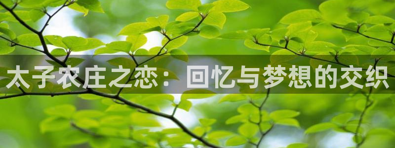 金年会 金字招牌
